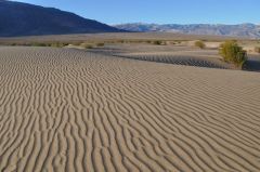 綺麗な砂模様の砂丘